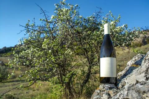 Wine in nature Stock-Fotos
