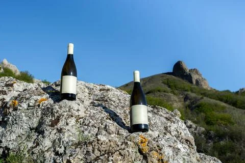 Wine in nature Stock Photos