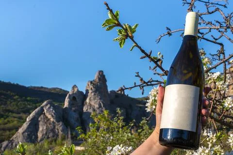 Wine in nature Stock-Fotos