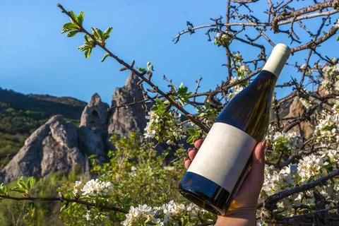 Wine in nature Stock Photos