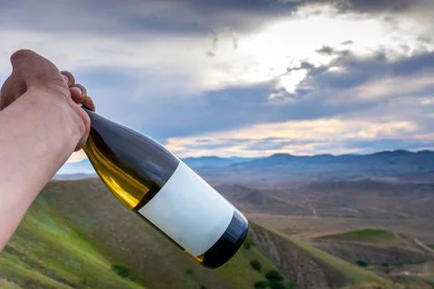 Wine in nature Stock Photos