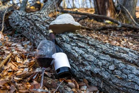 Wine in nature Stock Photos