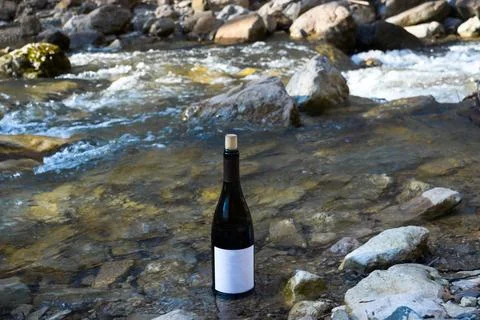 Wine in nature Stock Photos