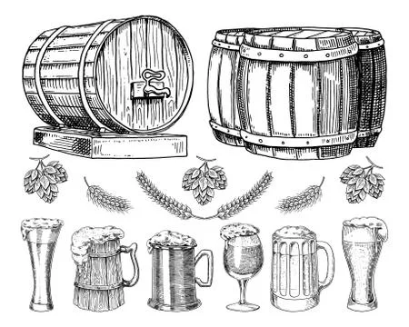 Wine or rum, beer classical wooden barrels for rural landscape. Barley and wheat Stock Illustration