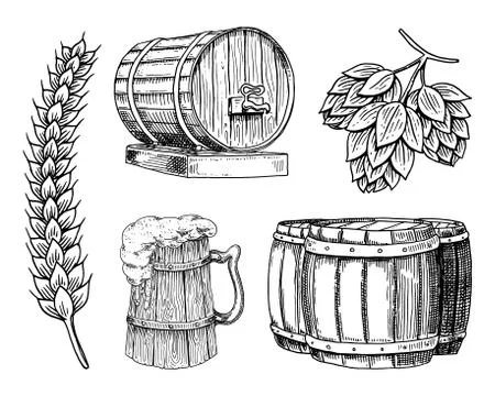 Wine or rum, beer classical wooden barrels for rural landscape. Barley and wheat Stock-Illustration