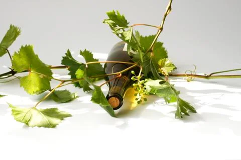 Wine Stock Photos