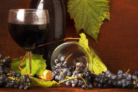 Wine Stock Photos