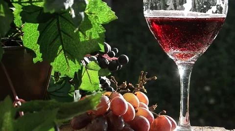 Wine Pour Stock Footage 44519030