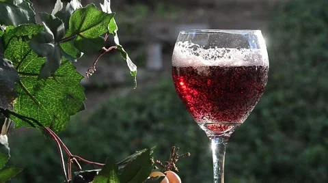 Wine Pour Stock Footage 44519031