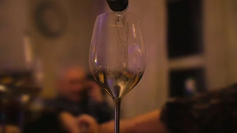 Wine Pour Slow Motion 1 Stock Footage 101474692