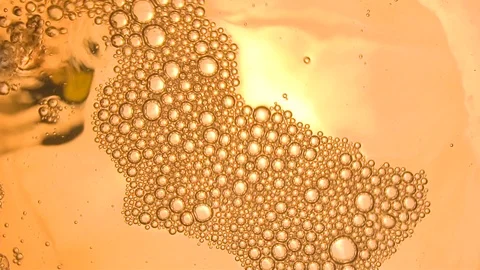 Wine is poured into a glass, view from the nirzu, transparent bottomPouring Stock Footage 101471520