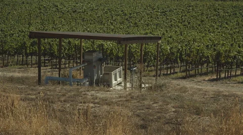 Wine producing Stock Footage 45251019