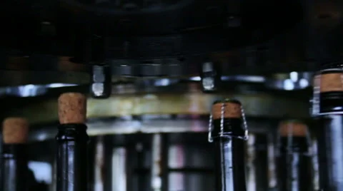 Wine production line Stock Footage 51445125