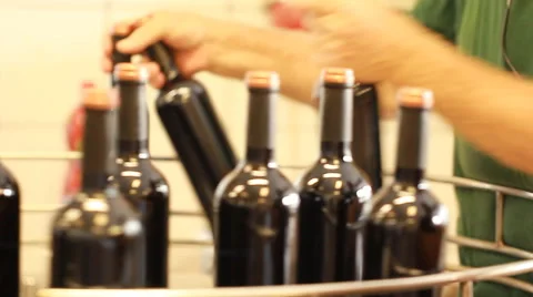 Wine production line Stock Footage 54567910