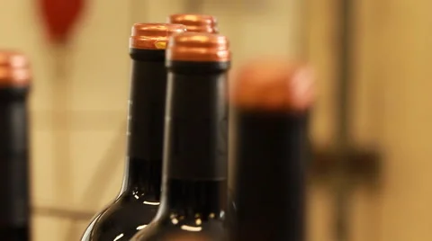 Wine production line Stock Footage 54567985