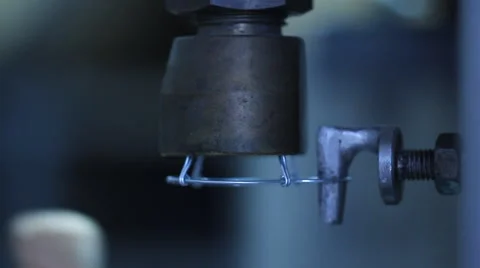 Wine production line Stock Footage 54580753