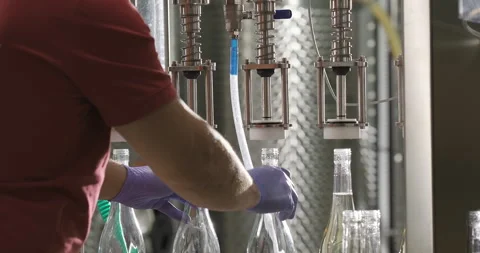 Wine production or bottling process. Winery worker filling wine bottles by the Stock Footage 247963920