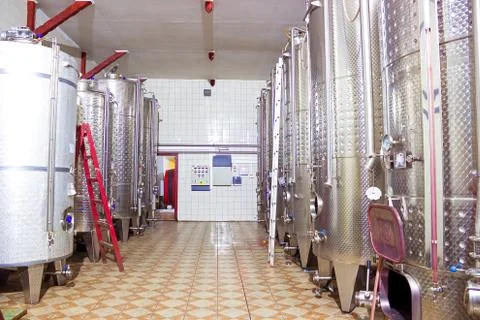Wine production Stock Photos
