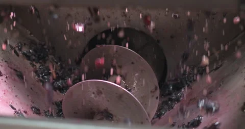 Wine production process. Close-up shot of crushing grapes in the squeezing Stock Footage 247941113