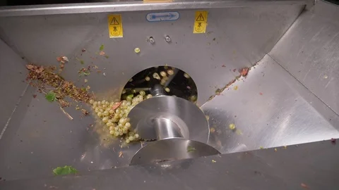 Wine production process. falling grapes in crusher-slow motion Stock Footage 98597181