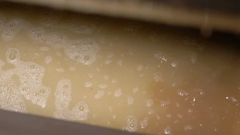 Wine production process. Squeezed grapes Stock Footage 98594204