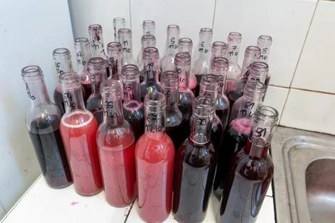Wine samples fermenting in bottles in a laboratory Stock Photos