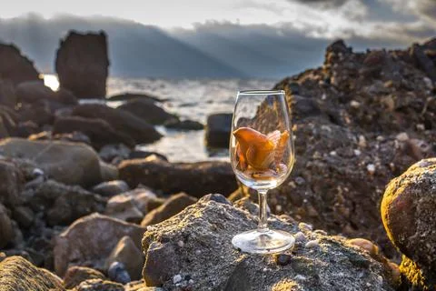 Wine by the Sea Stock Photos