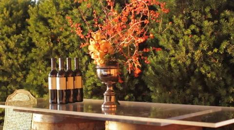 Wine Sequence Stock Footage 46783622