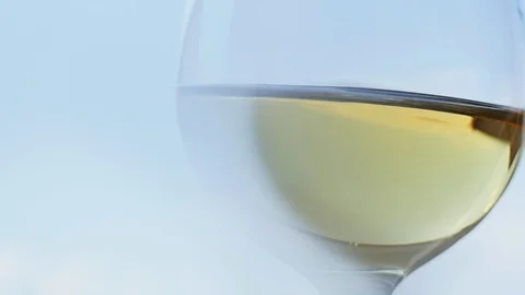 Wine shake in slow motion. Stock Footage 91832676