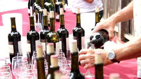 Wine Show Stock Footage 755699