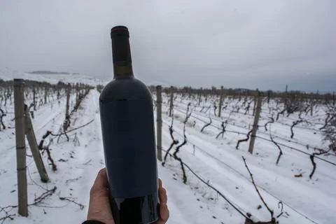 Wine in the snow Stock Photos
