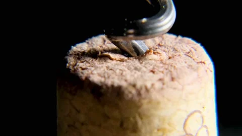 Wine stopper with corkscrew 스톡 동영상 178547453