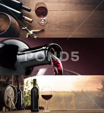 Wine tasting and winemaking Stock Photos
