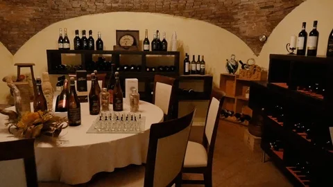 Wine tasting basement Stock Footage 86355687