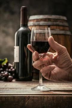 Wine tasting in the cellar Stock-Fotos