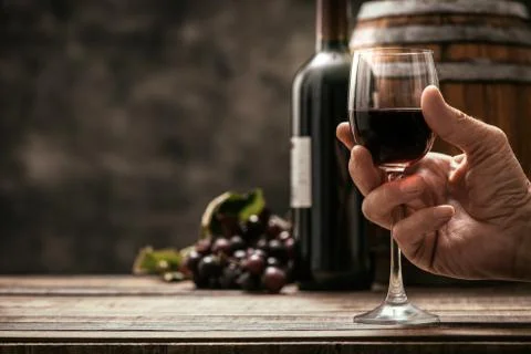 Wine tasting in the cellar Photos