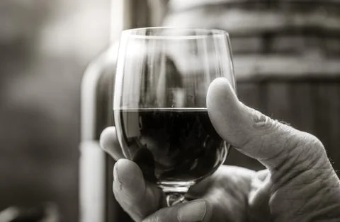 Wine tasting in the cellar Stock-Fotos