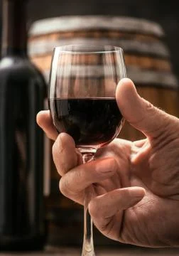 Wine tasting in the cellar Stock-Fotos