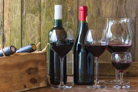 Wine tasting concept. Stock Photos