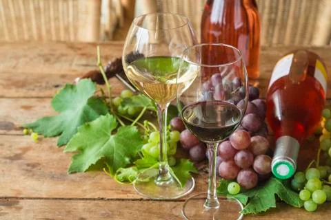 Wine tasting concept. Stock Photos