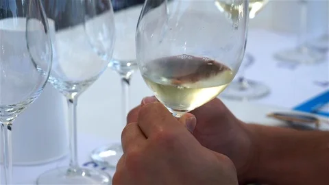 Wine Tasting in a Cooking Show. Stock Footage 103801632