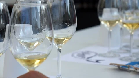 Wine Tasting in a Cooking Show. Stock Footage 103801699