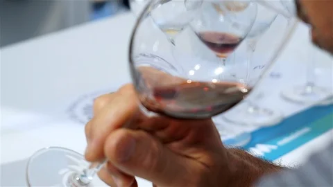 Wine Tasting in a Cooking Show. Stock Footage 103803970