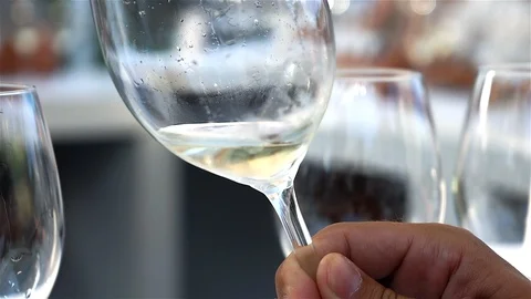Wine Tasting in a Cooking Show. Stock Footage 103803982