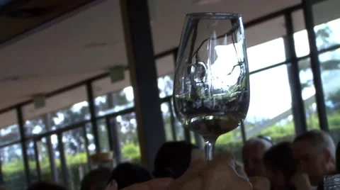 Wine Tasting Event Vídeo Stock 46127564