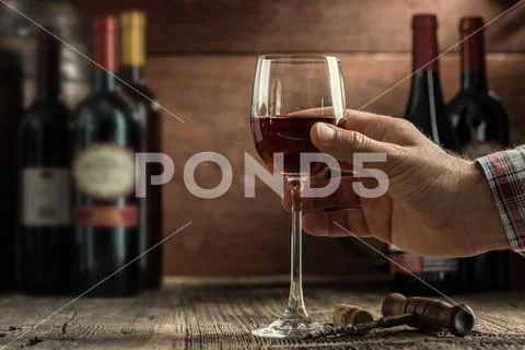 Wine tasting experience Stock Photos