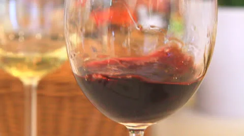 Wine tasting Stock Footage 25294618