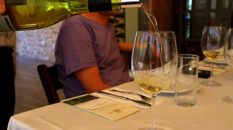 Wine tasting Video stock 25294945
