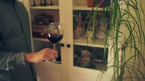 WINE TASTING Stock Footage 130801335