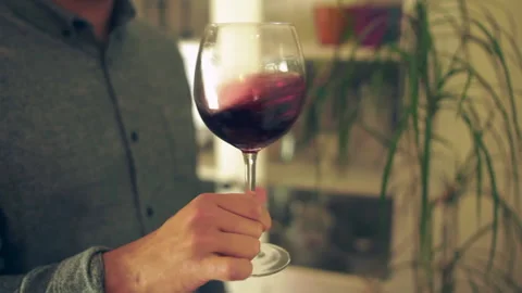 WINE TASTING Stock Footage 130801555